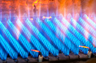 Dolyhir gas fired boilers